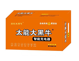 智能充電器2